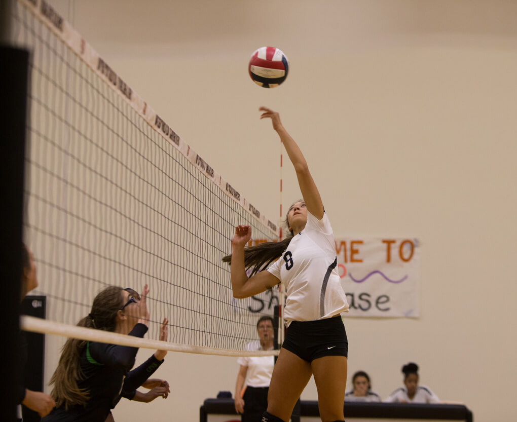 Vandegrift Vipers senior setter Madison Jaeger (8) in action during a high school volleyball game between the Vandegrift Vipers and the Cedar Park Timberwolves at Westwood High School in Austin, Texas on August 13, 2016.