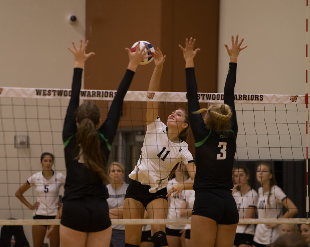 Vandegrift Vipers junior outside hitter Simone Priebe (11) in action during a high school volleyball game between the Vandegrift Vipers and the Cedar Park Timberwolves at Westwood High School in Austin, Texas on August 13, 2016.