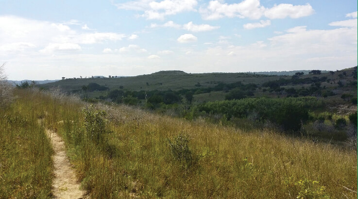 A network of trails provide public access to the Balcones Canyonlands National Wildlife Refuge — and expansive views of Hill Country — located north of Lake Travis. 