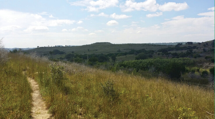 A network of trails provide public access to the Balcones Canyonlands National Wildlife Refuge — and expansive views of Hill Country — located north of Lake Travis.