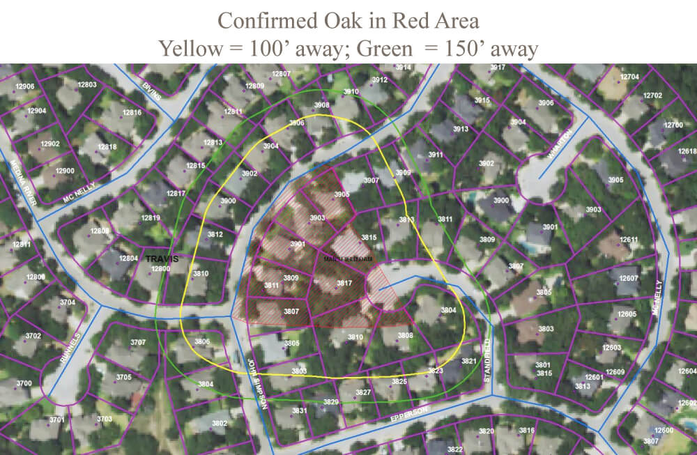 Oak wilt has been confirmed in the Plateau neighborhood in Steiner Ranch in approximately 30 trees, shown in red. The yellow line shows 100 feet away from the affected trees and the green line show 150 feet away.