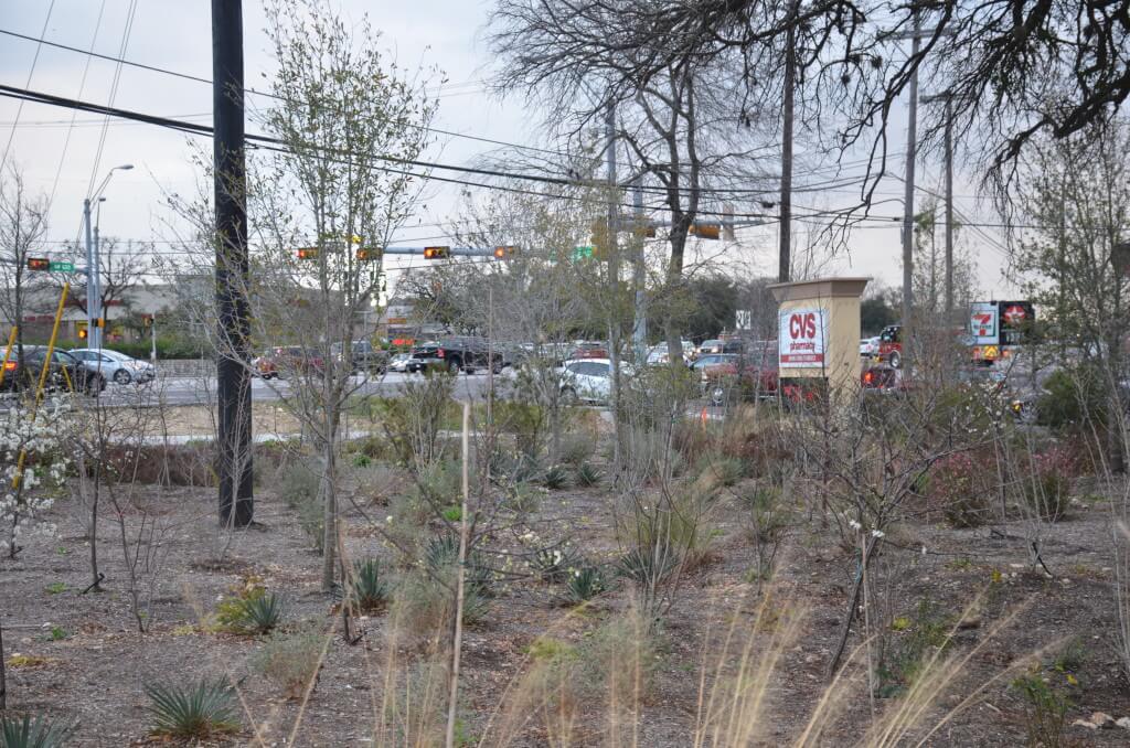 Trees and bushes were planted after construction of the new CVS at RM 620 and Bullick Hollow Road.