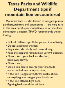 Mountain lion tips